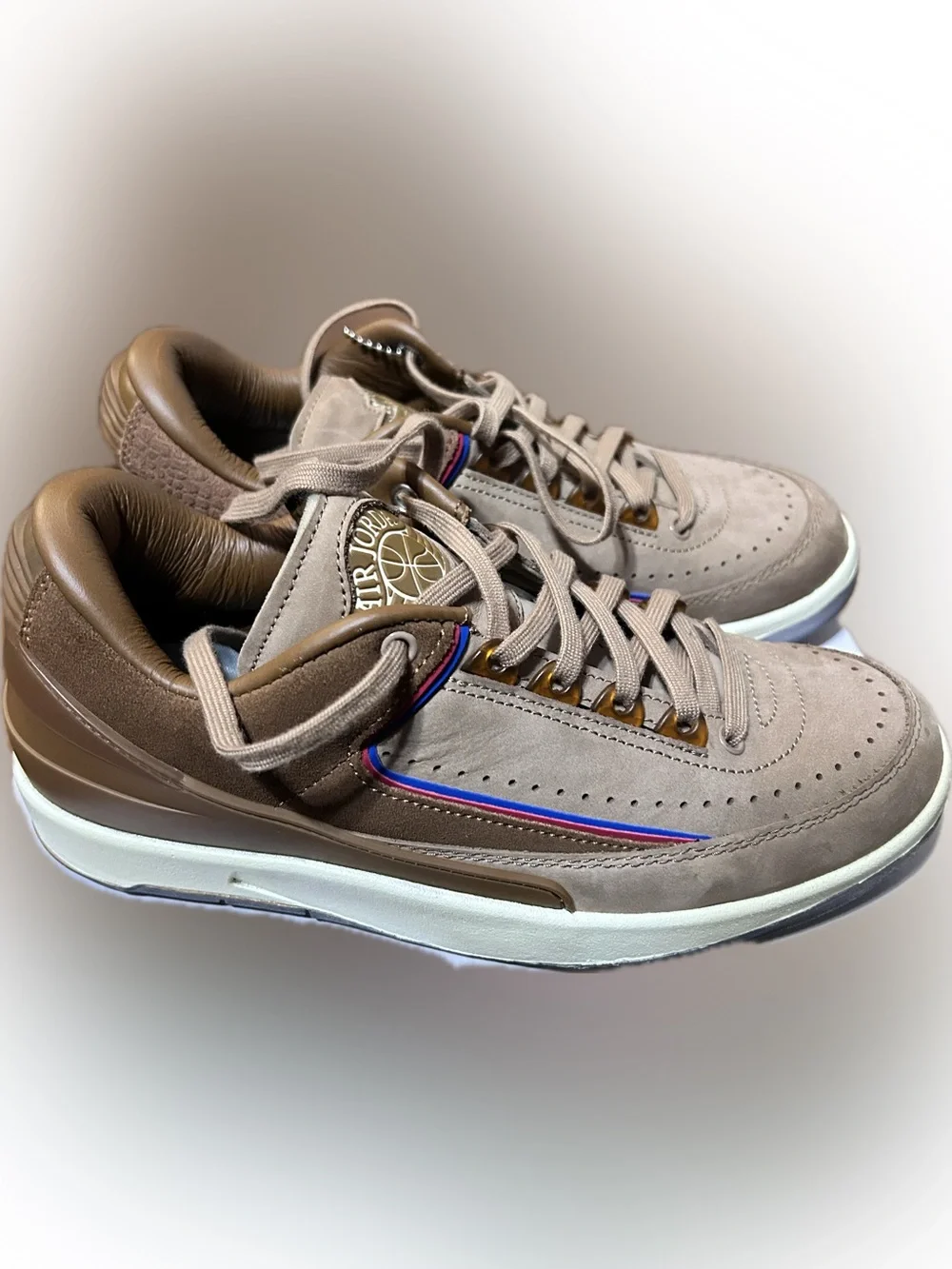 Jordan Retro 2 Low SP 